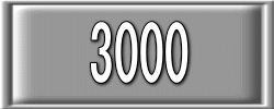 3000