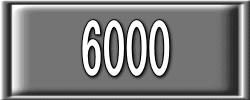 6000